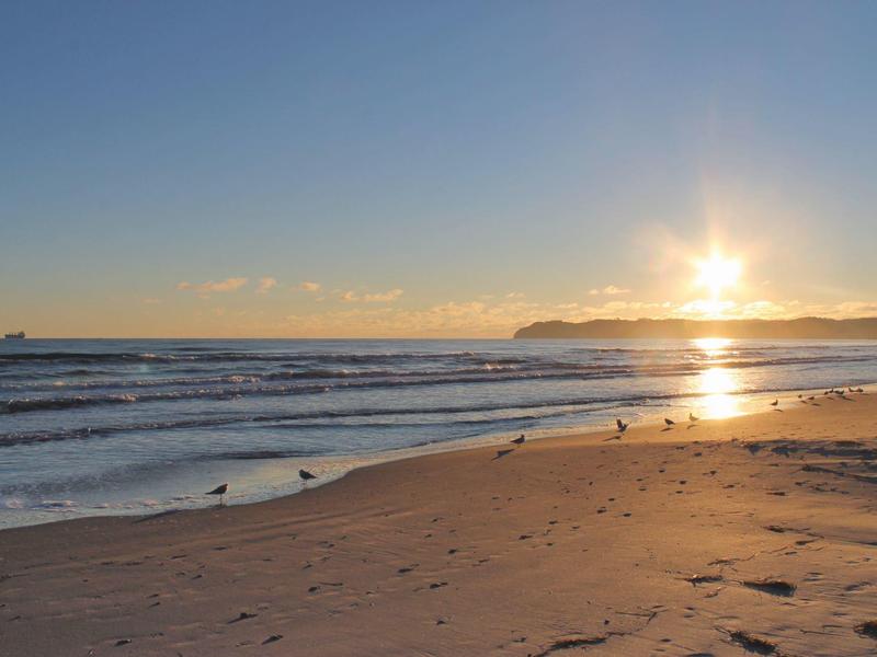 Sonnenuntergang über ruhigem Strand mit Vögeln und sanften Wellen am Horizont.