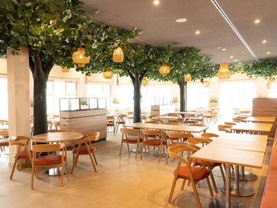 Bright restaurant with wooden chairs, tables, and hanging plants as decoration.