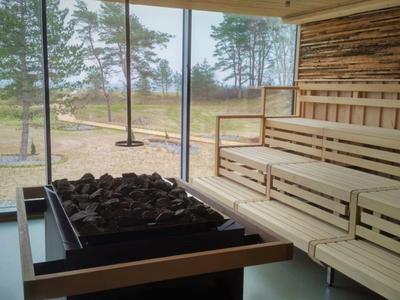 Modern Finnish sauna with wooden interior and view of a forested landscape.