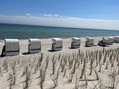Beach with classic beach chairs lined up by the sea under clear weather.