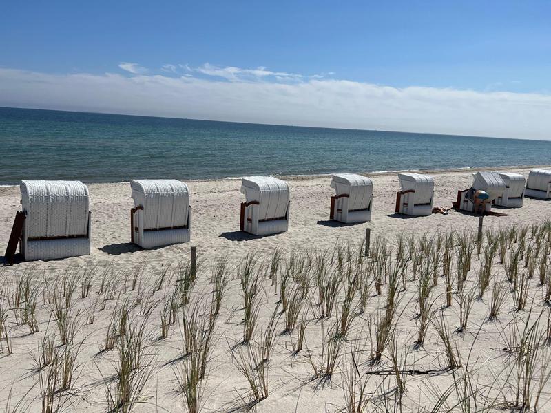 Beach with classic beach chairs lined up by the sea under clear weather.