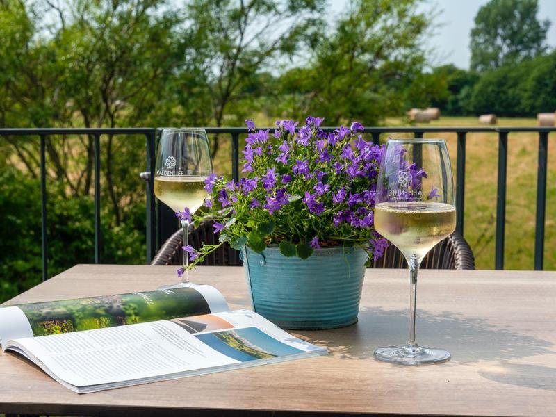 Ein Holztisch auf Balkon mit Topf lila Blumen, zwei Weingläsern mit Weißwein und aufgeschlagener Zeitschrift.
