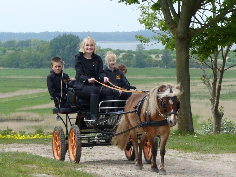Drei Personen fahren in einer kleinen Kutsche, gezogen von einem Pony auf einem Waldweg.