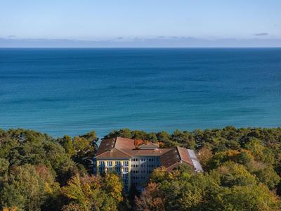 Hotelgebäude umgeben von Bäumen mit Blick auf das blaue Meer unter klarem Himmel.