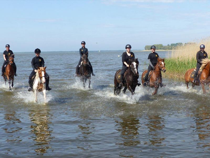 Sechs Reiter reiten durch flaches Wasser unter blauem Himmel und grüner Ufervegetation.