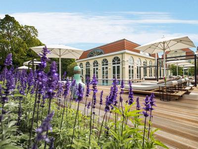 Hotel terrace with umbrellas, wooden deck, and purple flowers in the foreground