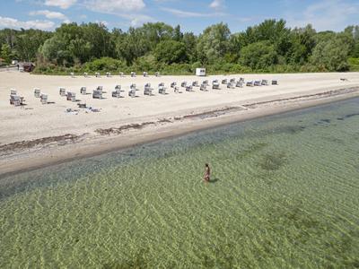 Clear water with a person swimming in shallow sea and rows of beach chairs on the sandy shore.