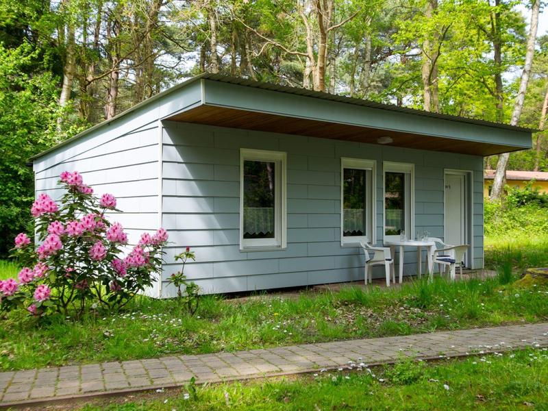 Piccola casa vacanze azzurra con fiori in giardino e foresta sullo sfondo.