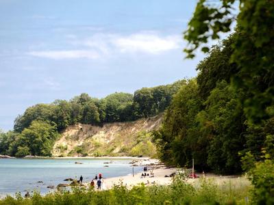 Strand mit grünen Bäumen und einer Klippe im Hintergrund an einem ruhigen Küstenabschnitt.