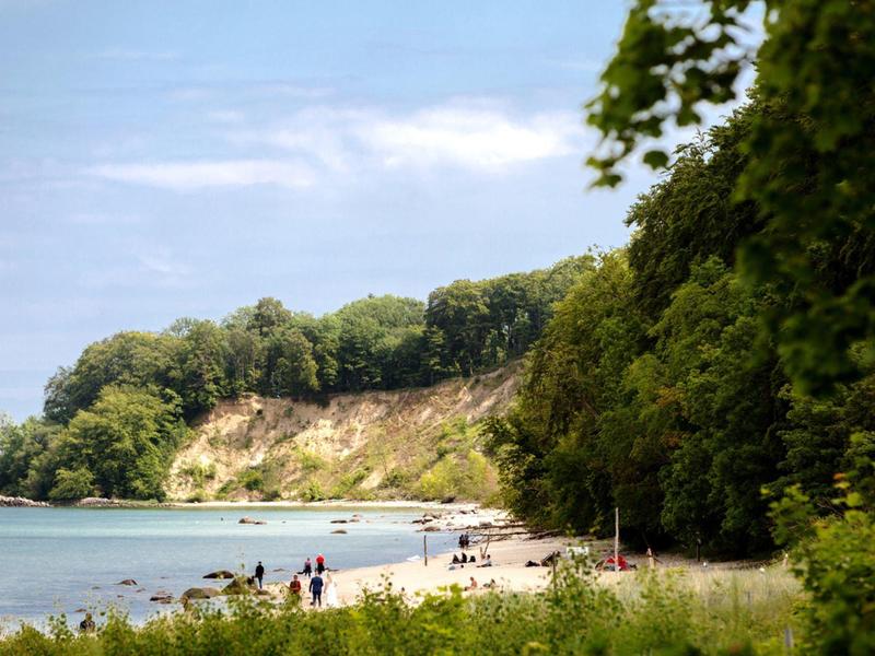 Strand mit grünen Bäumen und einer Klippe im Hintergrund an einem ruhigen Küstenabschnitt.