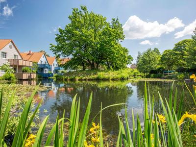 Laghetto idilliaco con case, alberi e fiori sotto un cielo azzurro e soleggiato