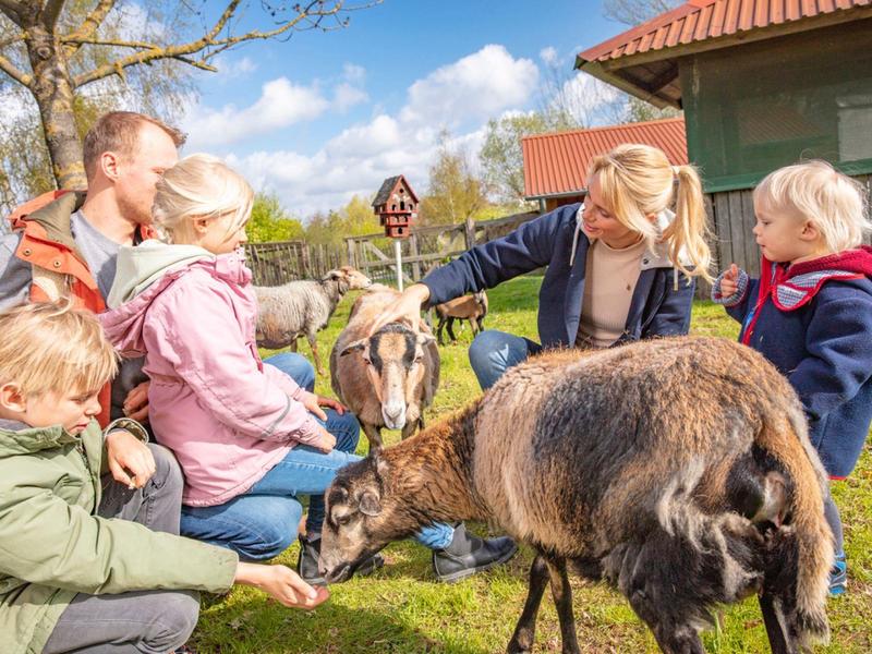 Kinderen voeren geiten op een zonnige boerderij met blauwe lucht en gebouwen op de achtergrond.