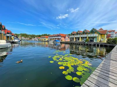 Bootshäuser an einem ruhigen See mit Seerosen und Holzsteg unter blauem Himmel