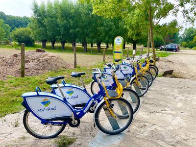 Meerdere blauwe en gele fietsen staan op een betonnen pad in een park.