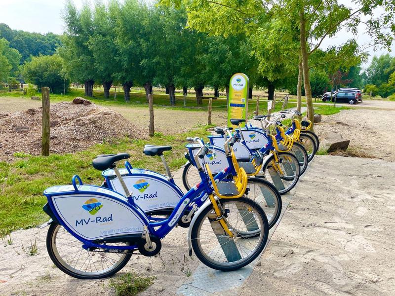 Fietsenverhuurstation met meerdere blauwe en gele fietsen op een geplaveid pad naast een grasveld.