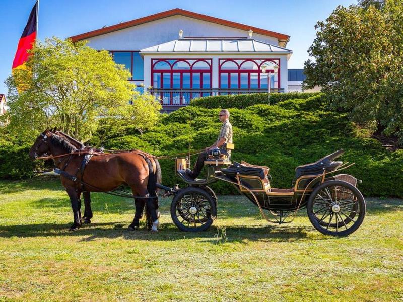Horse-drawn carriage with two horses in front of a house with large windows, surrounded by trees and grass.