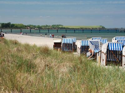 Plaża z trawiastymi wydmami i rzędami krzeseł plażowych przy wodzie