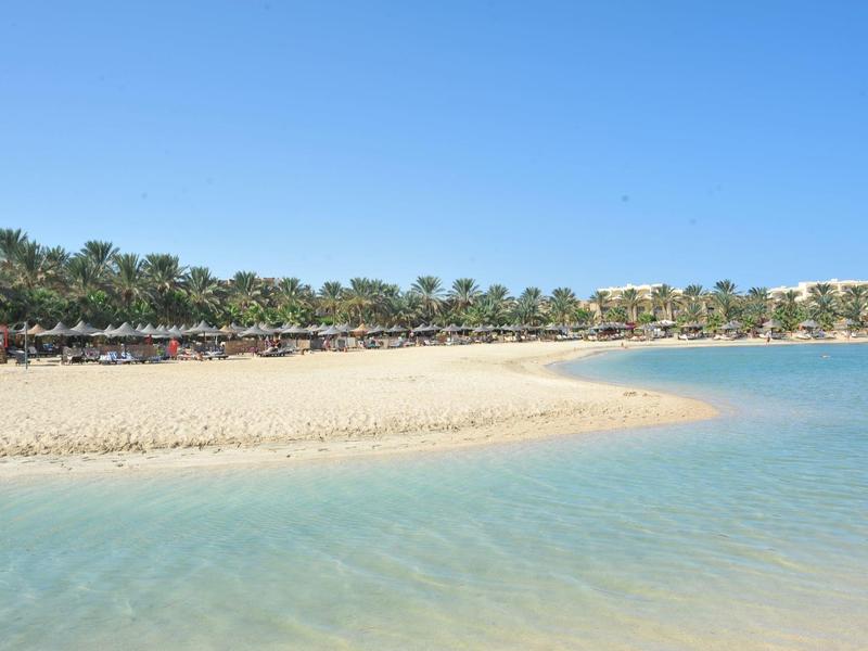 Calm sandy beach with clear water and palm trees under a bright blue sky
