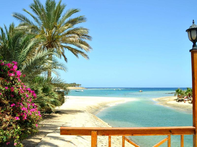 Tropical beach with palm trees, pink flowers, and a wooden railing under clear blue sky.