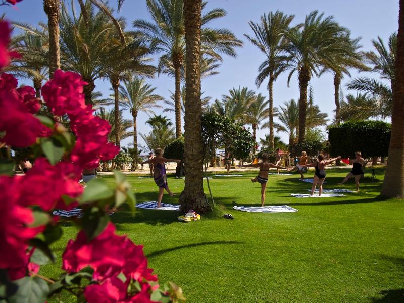 Garden with palm trees, green grass, and pink flowers on the left side.