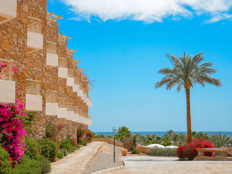 Coastal hotel walkway with stone facade, palm tree, and ocean view under blue sky.