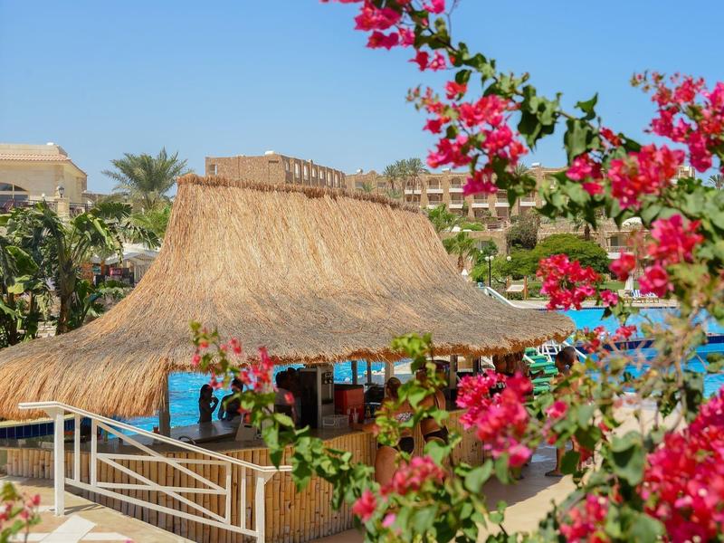 Thatched-roof hut near a pool surrounded by vibrant pink flowers and greenery in a sunny area.