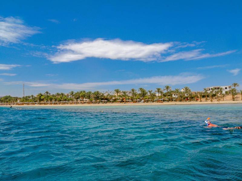 Clear blue ocean with a snorkeler near a sandy beach lined with palm trees under a blue sky.
