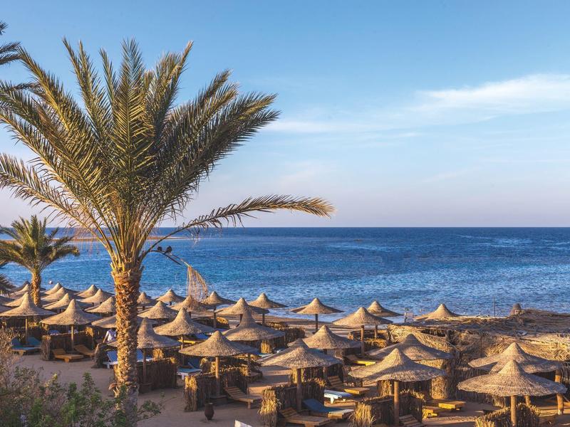 Beach with many straw umbrellas and palm trees by calm sea under blue sky.