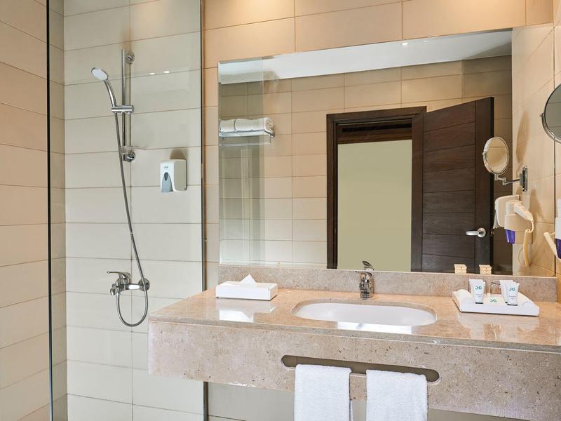 Modern hotel bathroom with vanity, mirror, and shower cabin with handheld showerhead.