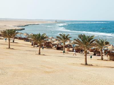 Sandiger Strand mit Palmen und Sonnenschirmen vor blauem Meer unter hellem Himmel.