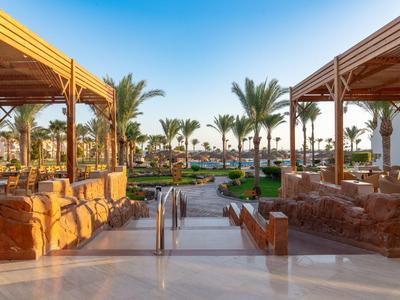 Hotel terrace with palm garden, sun loungers, and pool view under clear blue sky.