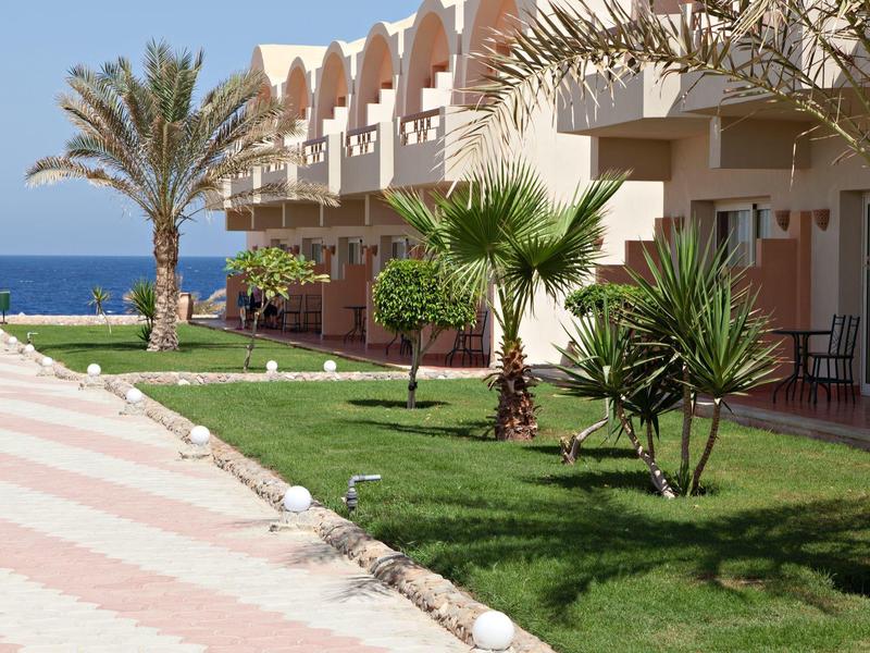 Hotel exterior with palm trees, green lawn, and a sea view under a clear sky.