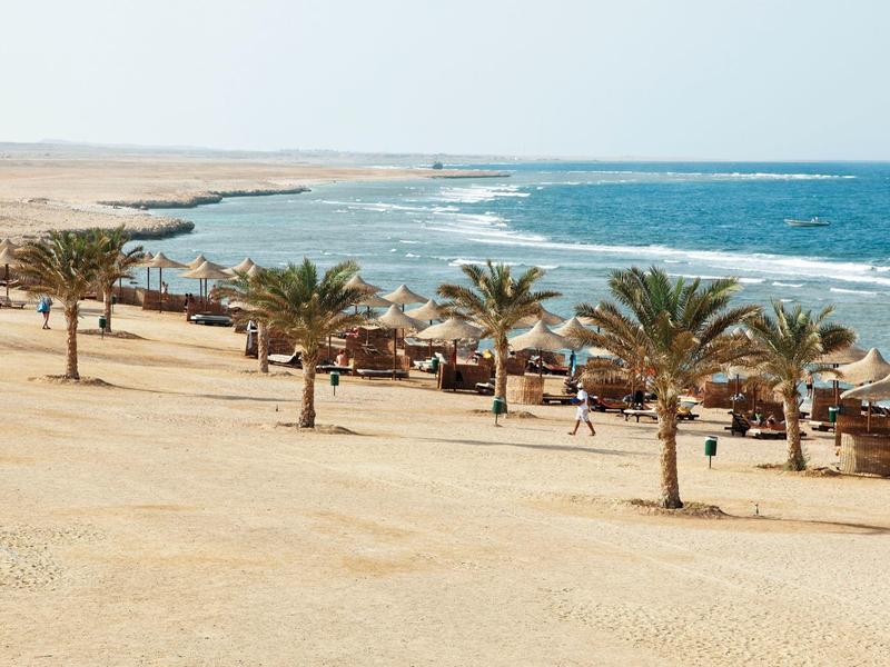 Sandy beach with lined palm trees and sun umbrellas near the clear blue ocean.