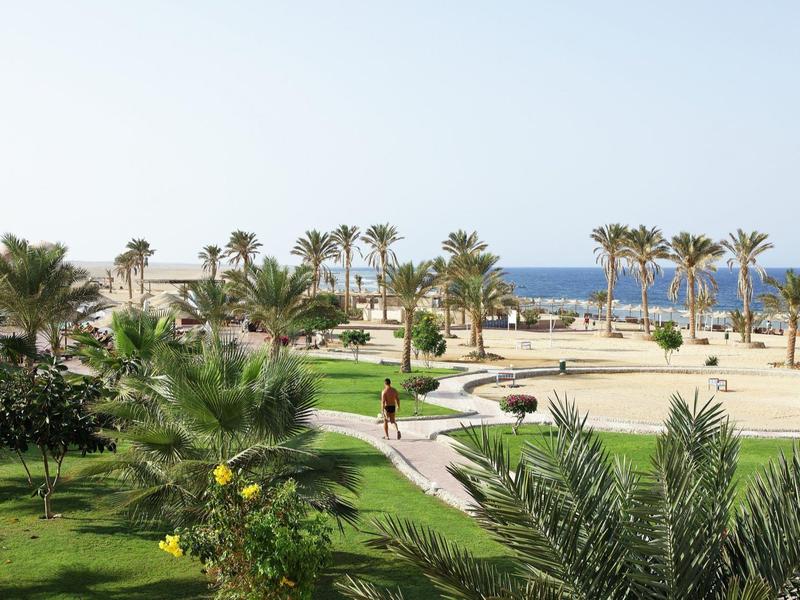 Lush hotel garden with palm trees overlooking the sea and a clear sky.