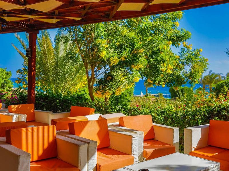 Conjunto de asientos al aire libre acogedor con cojines naranjas bajo una terraza cubierta con vista a plantas verdes y cielo azul.