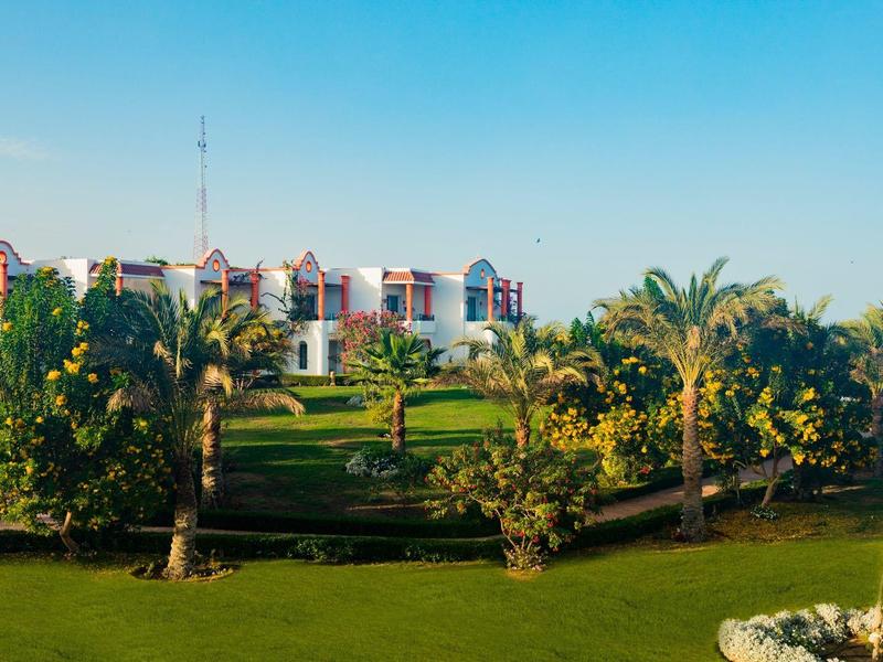 Edificio del hotel con fachada blanca, rodeado de palmeras y césped verde bajo un cielo despejado.