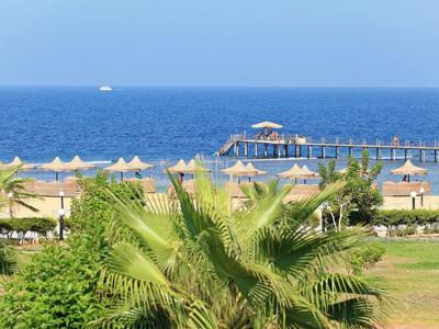 Výhled na pláž s slunečníky a molem na modrém moři v slunečný den