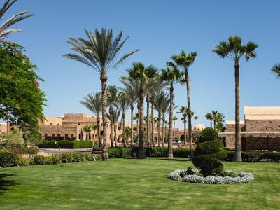 Jardín verde con palmeras y edificios al fondo bajo un cielo soleado.