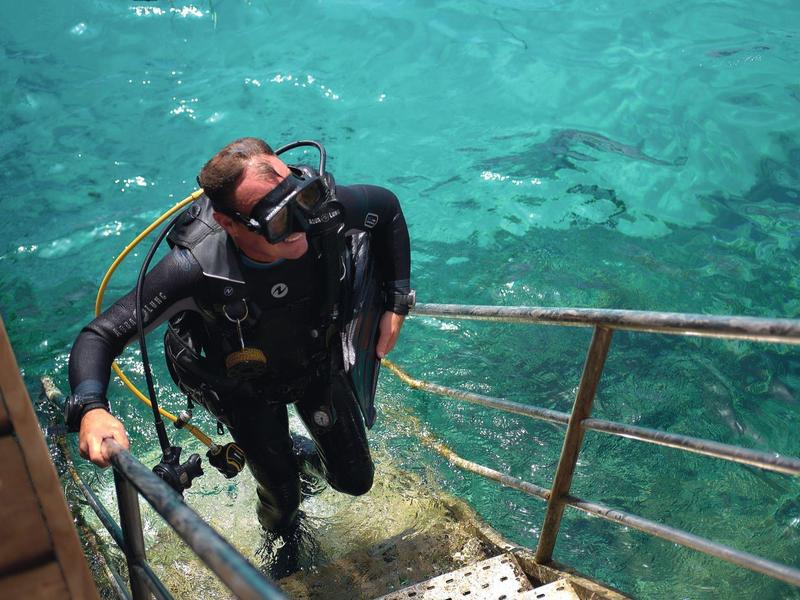 Buceador con equipo negro sube por escalera de metal desde agua clara azul verdosa.