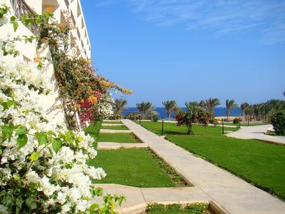 Tempo sereno all'hotel con cespugli in fiore e vista sulla piscina e il mare.