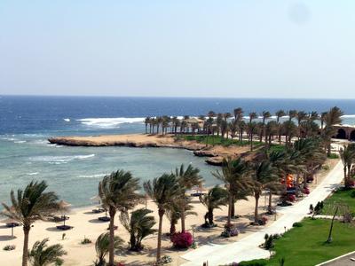 Küstenlandschaft mit Sandstrand, Palmen und blauem Meer unter klarem Himmel.