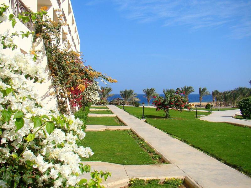 Piante fiorite lungo un sentiero lastricato con vista sul mare e palme.