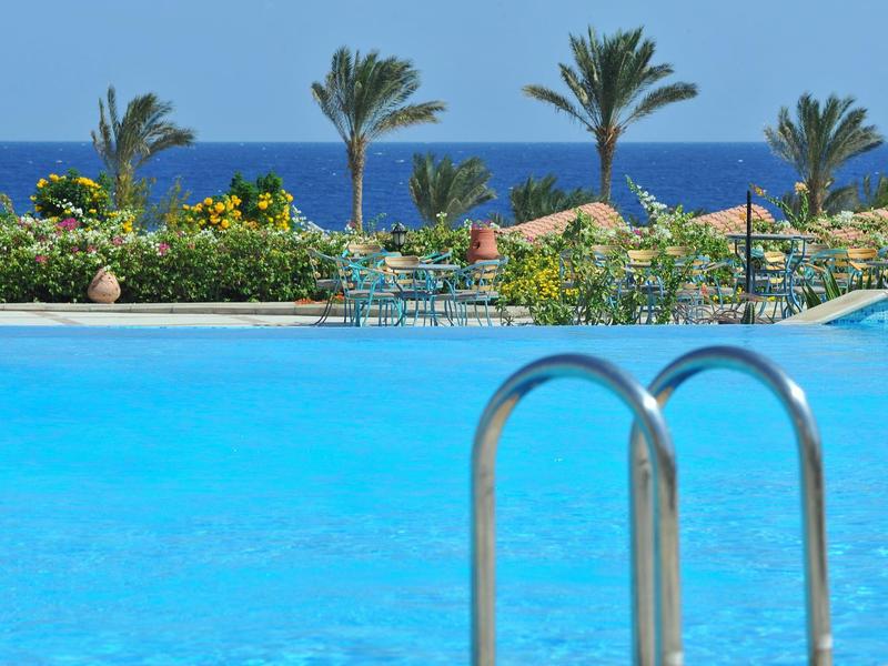 Piscina blu con scaletta in metallo, palme e mare sullo sfondo
