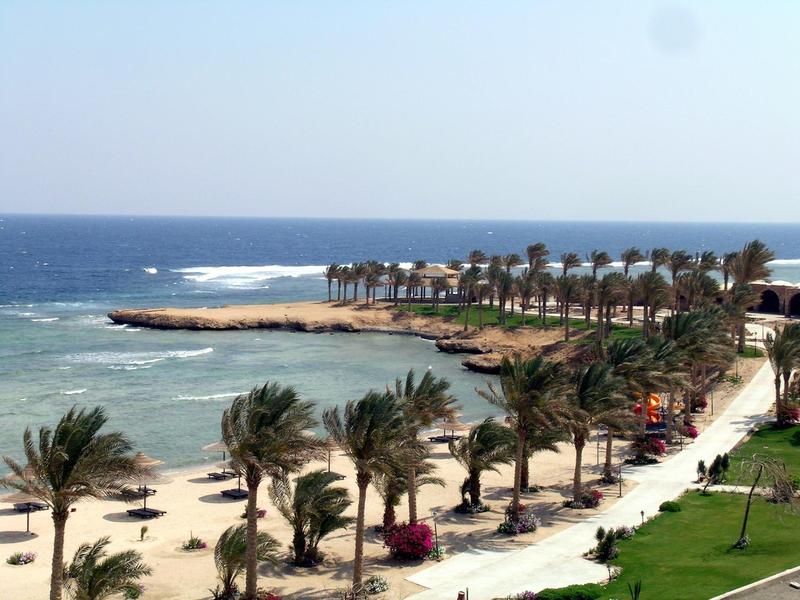 Spiaggia con palme, sabbia e mare calmo sotto un cielo sereno