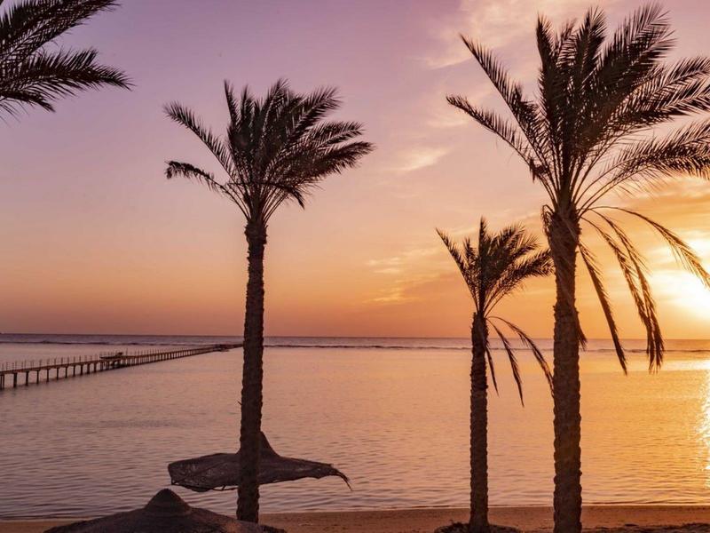 Palmy na plaży o zachodzie słońca z pomostem i spokojnym morzem