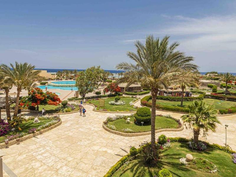 Ogród hotelowy z alejkami obsadzonymi palmami, zadbanymi trawnikami i czystym niebem.