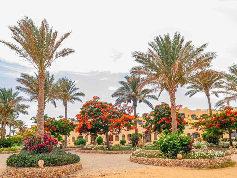 Palmy i kwitnące drzewa w słonecznym ogrodzie przed budynkiem hotelu.