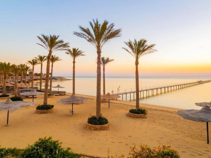 Plaża z palmami, leżakami i parasolami o zachodzie słońca nad morzem