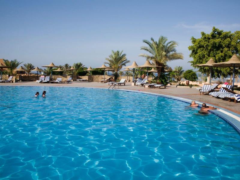 Duży basen z palmami i leżakami pod czystym niebem w ośrodku.