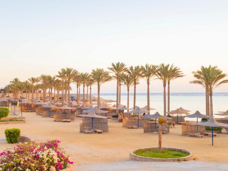 Plaża z palmami, leżakami i parasolami o wschodzie słońca nad morzem.